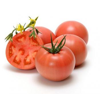 VilmorinMikado Tomato Specie 